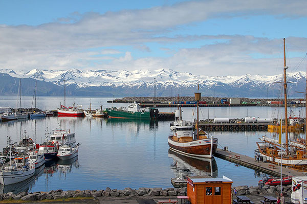 voyage groupe en Islande 